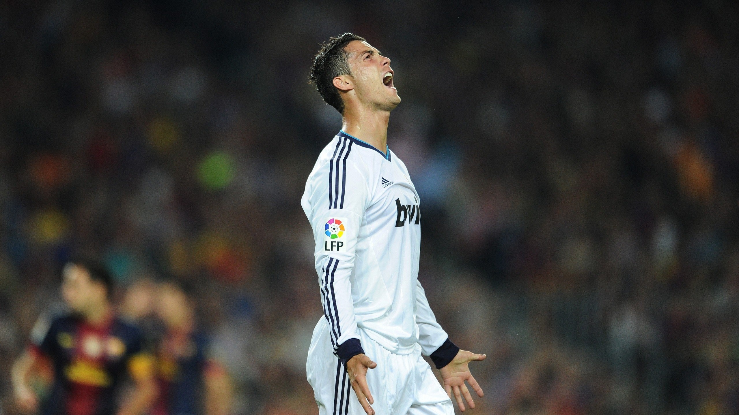 开云(中国)官网-开云APP下载