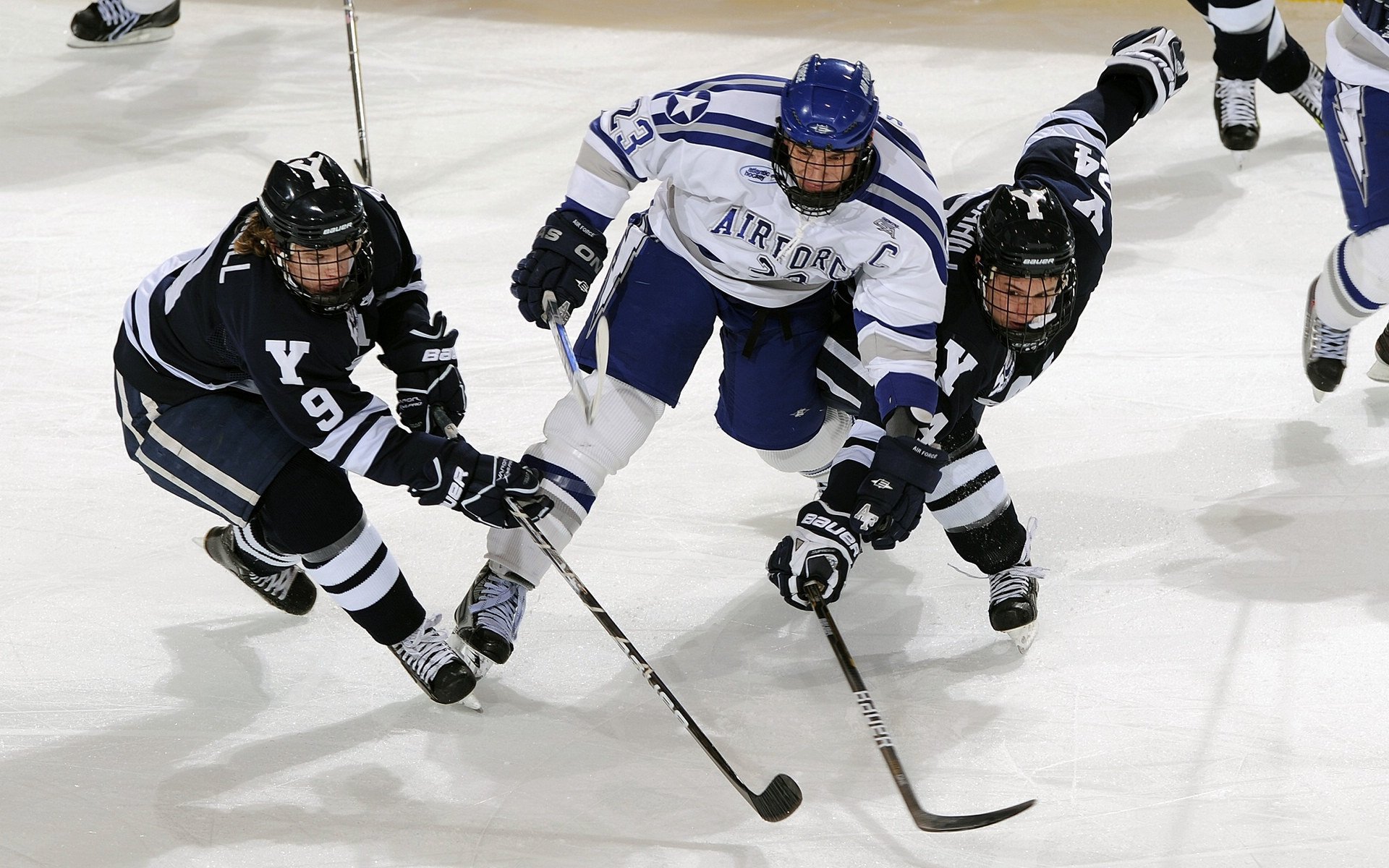 体育赛事志愿服务经验对学生综合能力提升的作用,体育赛事志愿者的工作要求